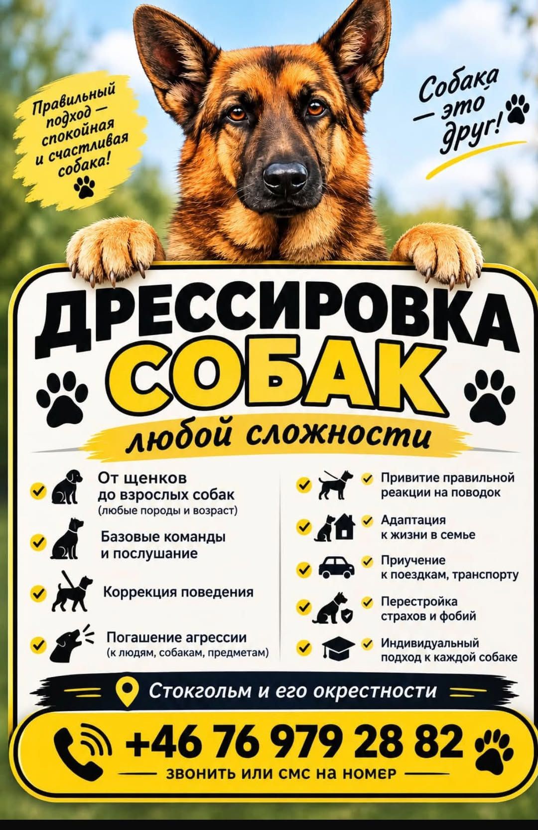 Услуги дрессировки собак в Стокгольме — фото 1